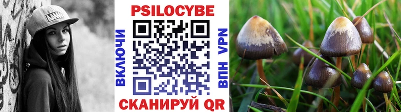 Галлюциногенные грибы GOLDEN TEACHER  Монино 